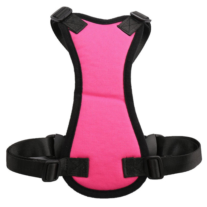 Car Seat Belts for Pets