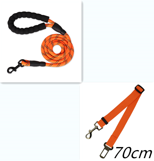 Stay Visible and in Control: Reflective Nylon Dog Leash Rope for Small, Medium, and Large Dogs