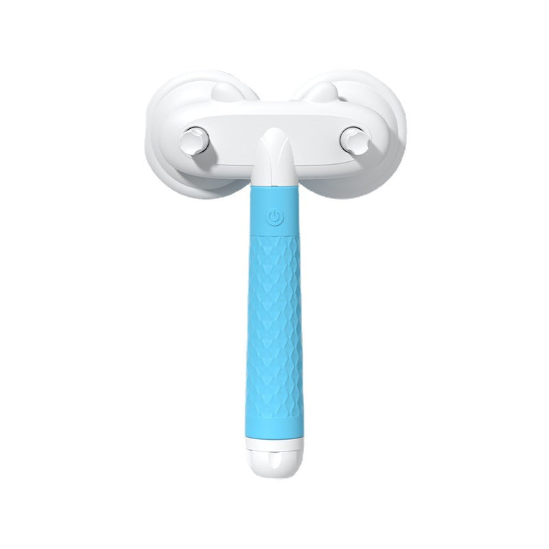 Pet Cat Brush and Dog Slicker Brush with Double-headed Negative Ion Technology