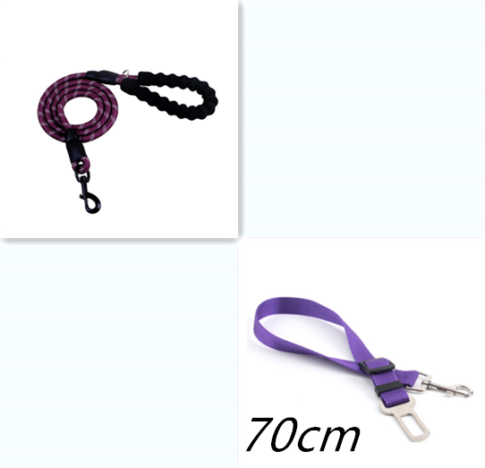Stay Visible and in Control: Reflective Nylon Dog Leash Rope for Small, Medium, and Large Dogs