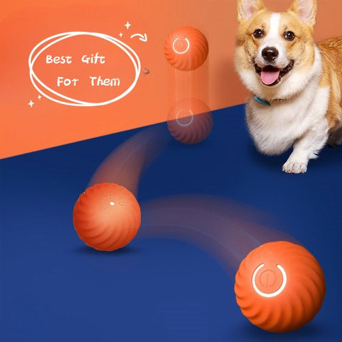 Pet Dog Rubber Ball Toys: Resistant to Biting, Ideal for Dog Chew and Puppy Training