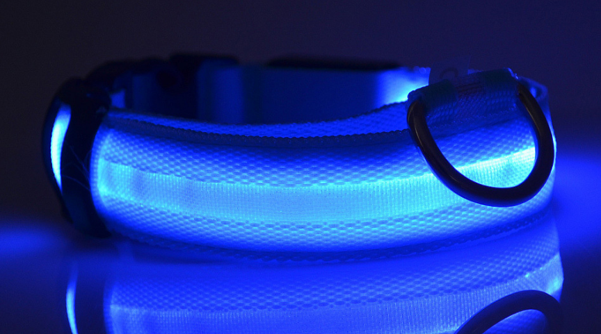 "Light Up the Night: Nylon LED Pet Collar for Purrfect Safety and Style!"