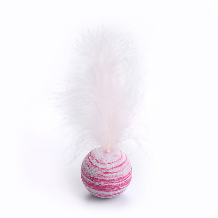 Pet Cat Toy Ball