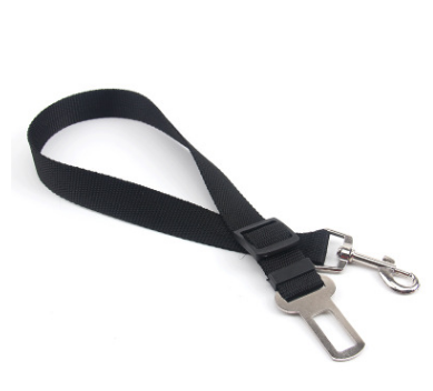 Fixed Dog Strap & Leash