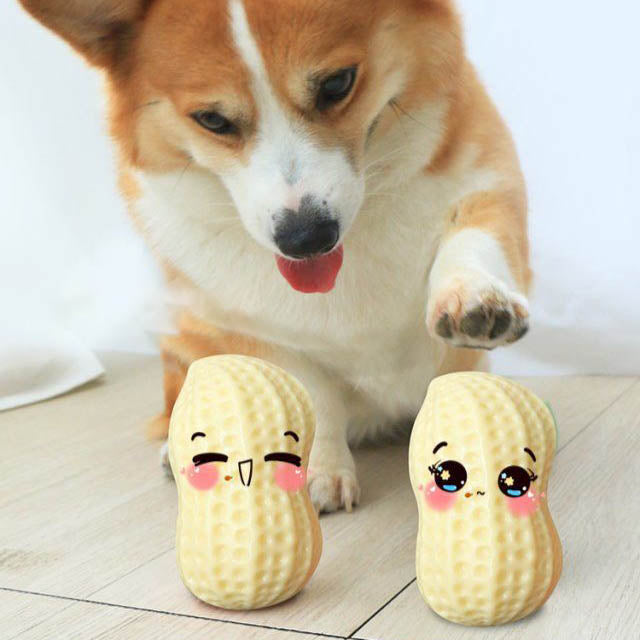 "Hilarious Squeaky Fun for Your Pet: Bite-Resistant Rubber Peanut Toy, Ideal for Small to Medium Dogs