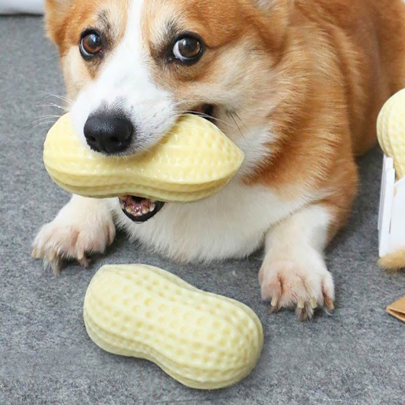 "Hilarious Squeaky Fun for Your Pet: Bite-Resistant Rubber Peanut Toy, Ideal for Small to Medium Dogs