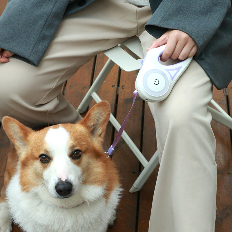 Retractable Dog Leash with Built-in Collar Spotlight