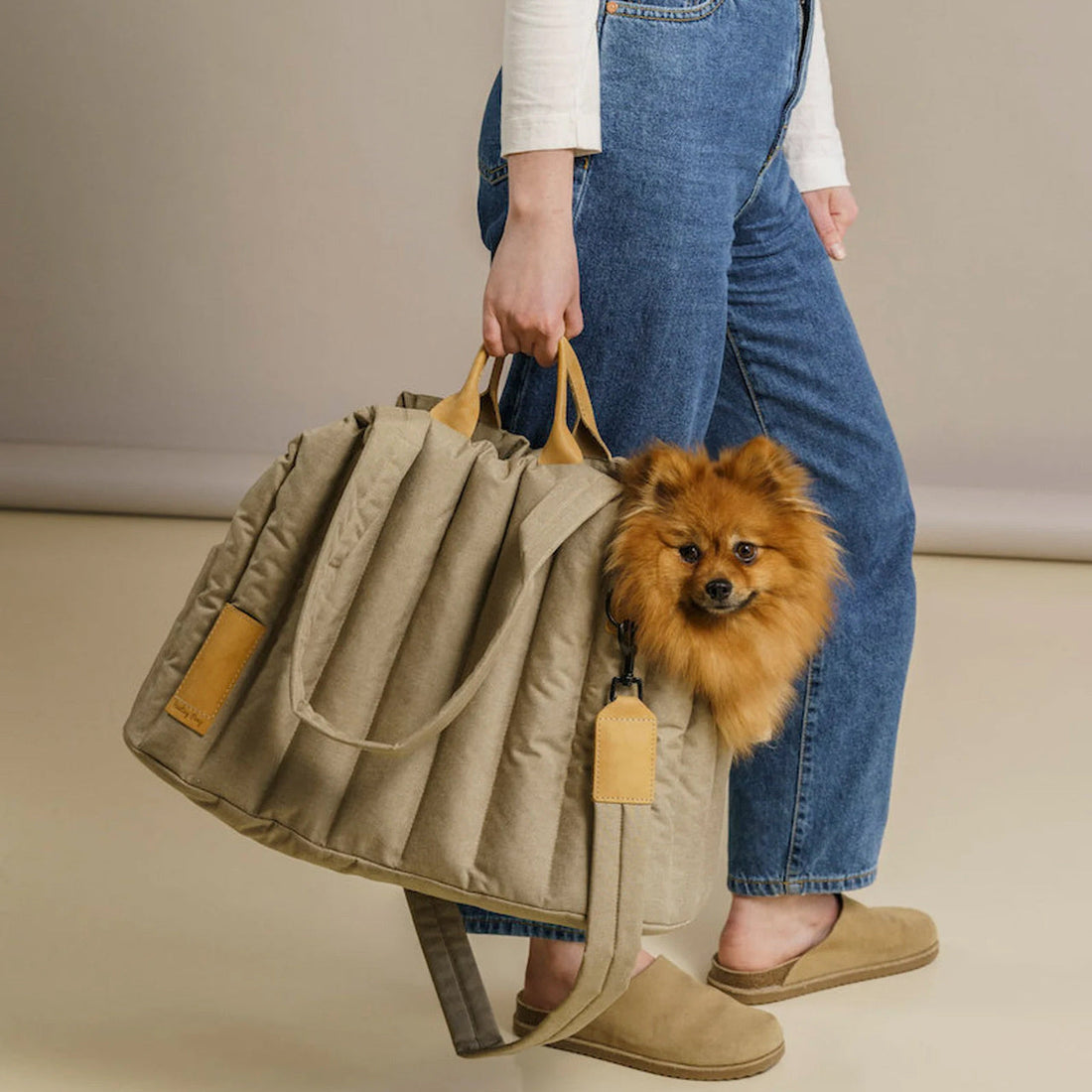 Pet Dog & Cat Portable Fashionable Carrier