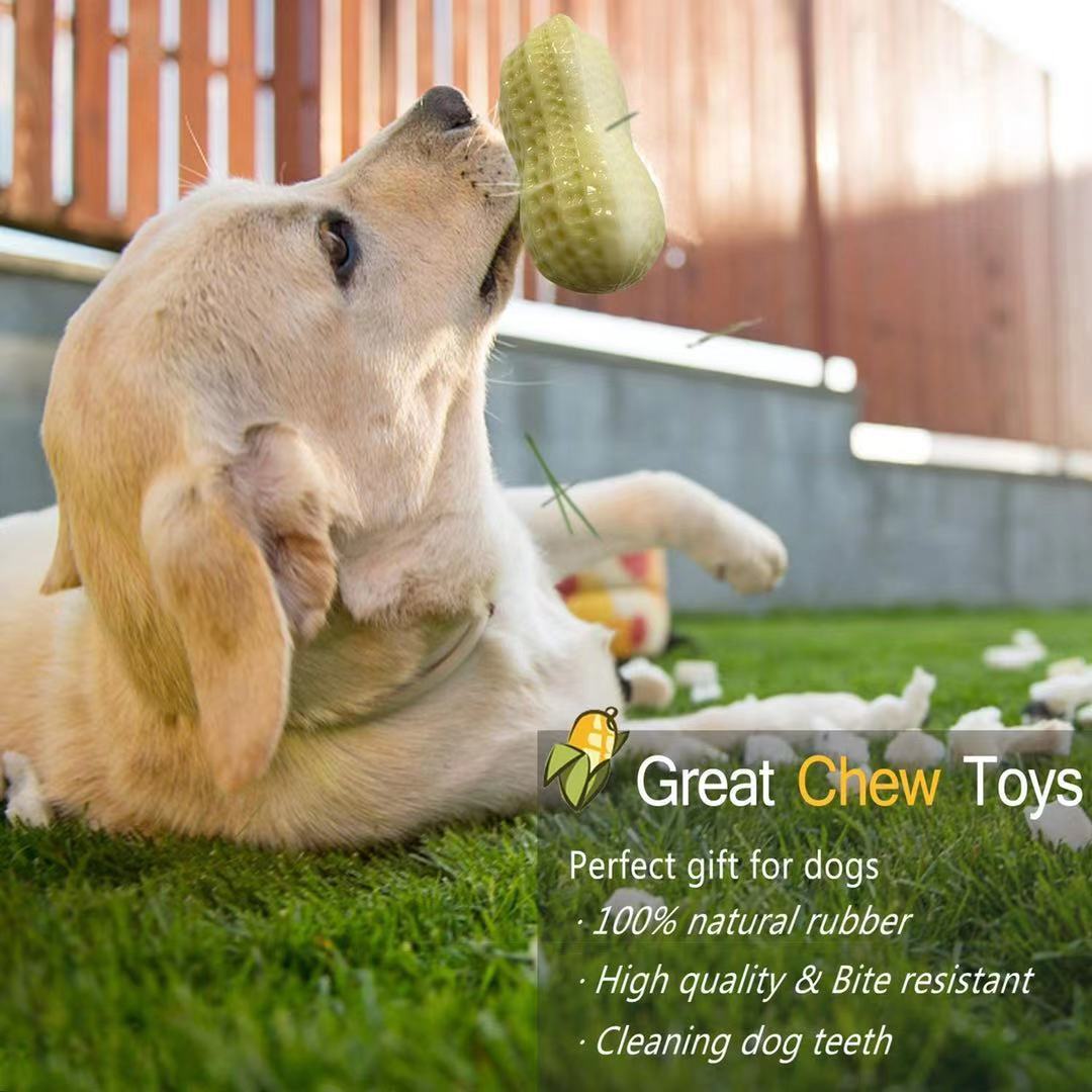 "Hilarious Squeaky Fun for Your Pet: Bite-Resistant Rubber Peanut Toy, Ideal for Small to Medium Dogs