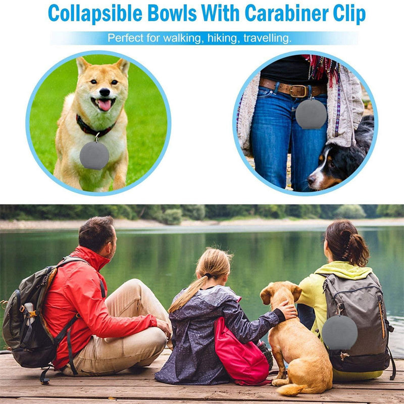 Convenient Rubber Foldable Double Bowl