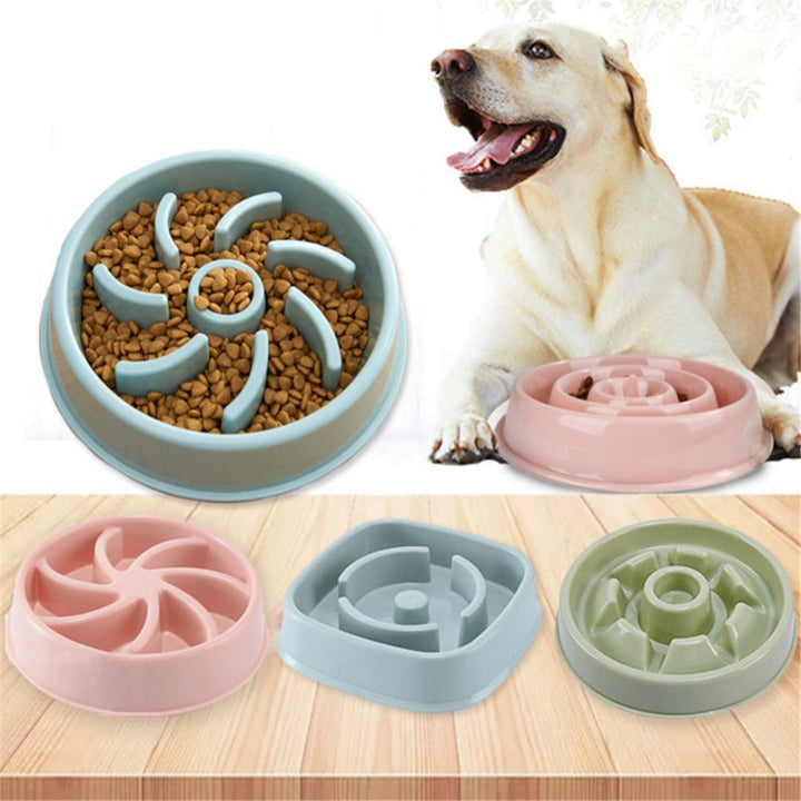 "Choke-Prevention Slow Food Bowl for Plastic Pet Dogs and Cats