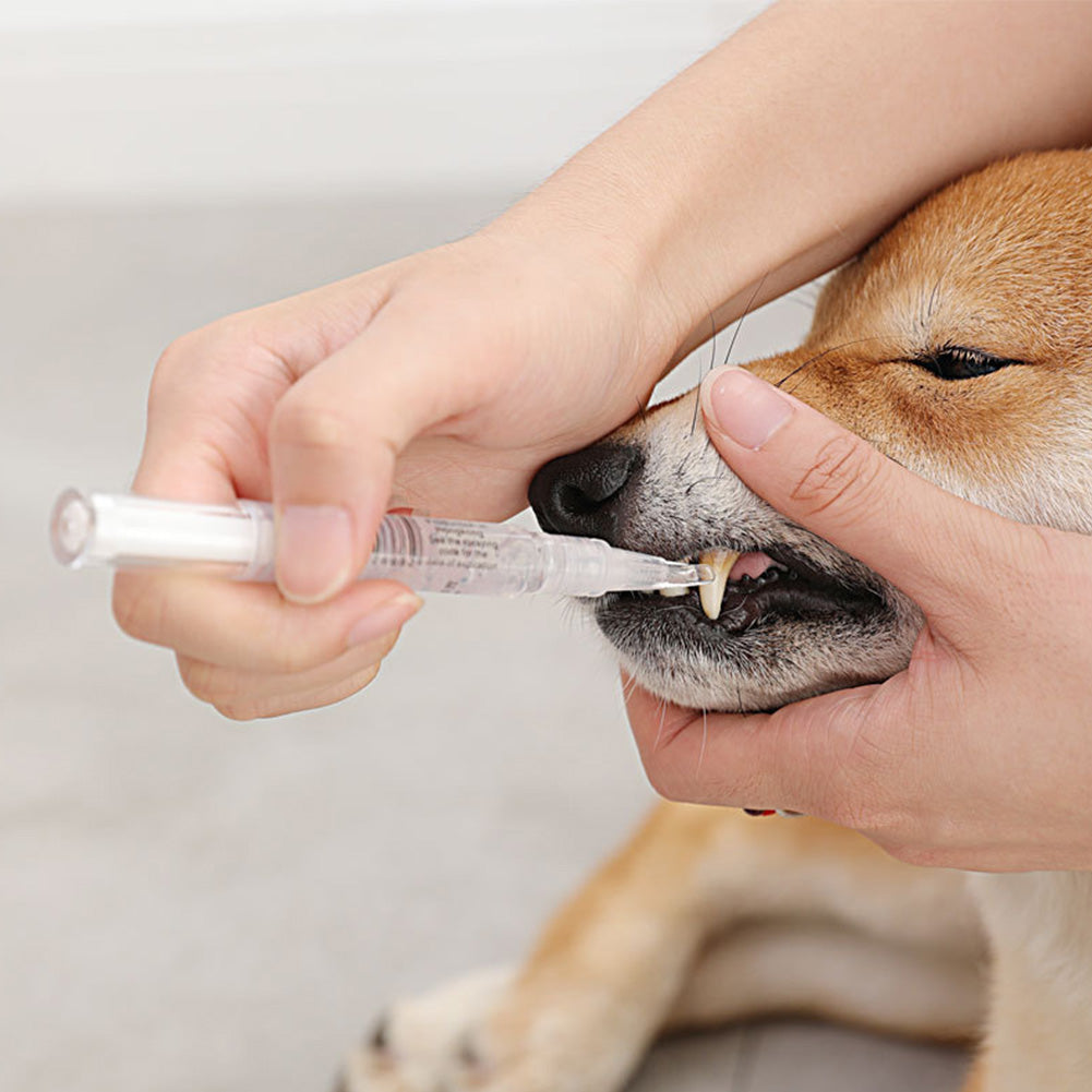Pet Teeth Cleaning & Repairing Kit For Dog & Cat