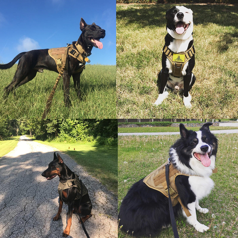Military Tactical Dog Harness for German Shepherd with Adjustable Back Support