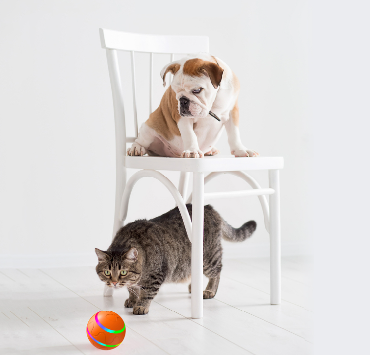 Pet Dog & Cat Intelligent Ball -USB Self Rotating Ball