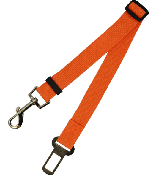 Fixed Dog Strap & Leash