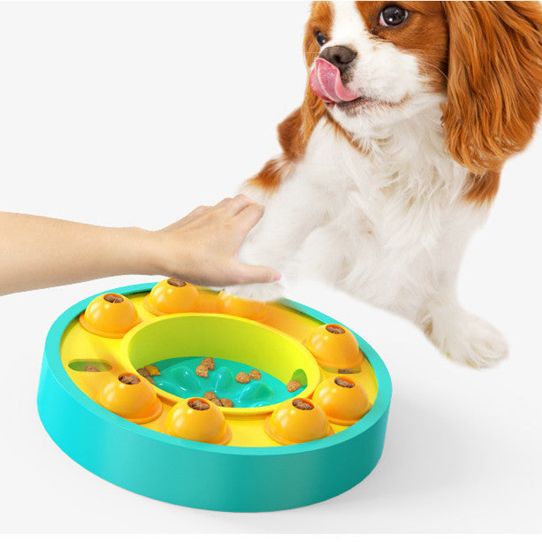 Interactive Slow Puzzle Feeder