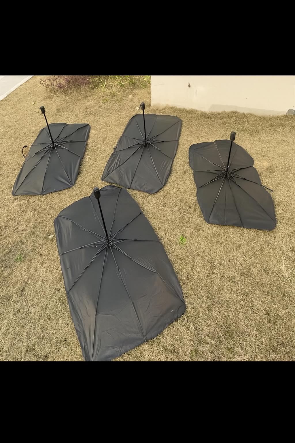 CAR  SUNSHADE