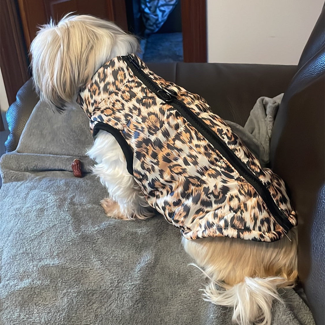 New Pet Clothes Puppy Outfit Vest Warm Dog Clothes For Small Dogs Winter Windproof Pets Dog Jacket Coat Padded Chihuahua Apparel
