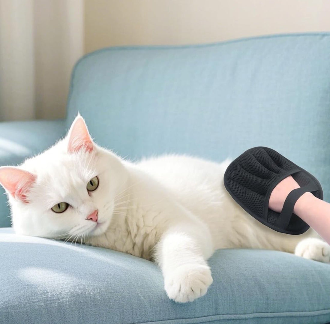 Cat Hair Removal Grooming Gloves – Pet Deshedding ; Massage Tool