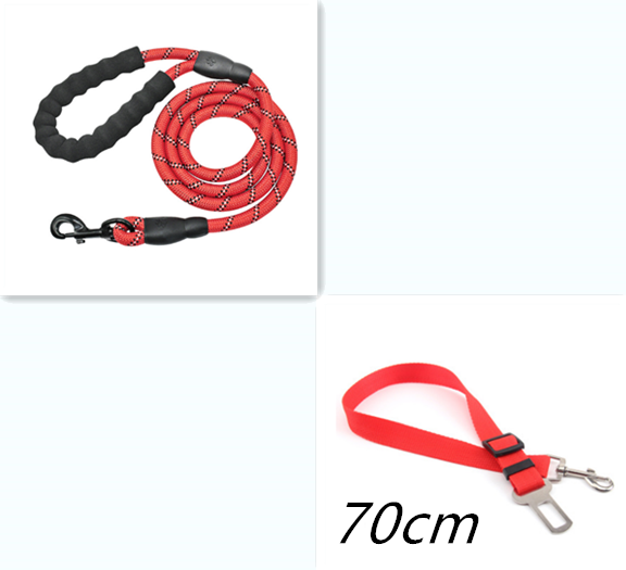 Stay Visible and in Control: Reflective Nylon Dog Leash Rope for Small, Medium, and Large Dogs