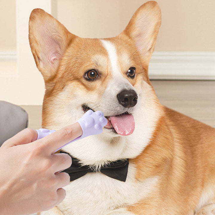 Finger Toothbrush Small Dog and Cats