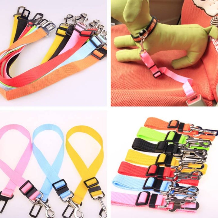 Fixed Dog Strap & Leash