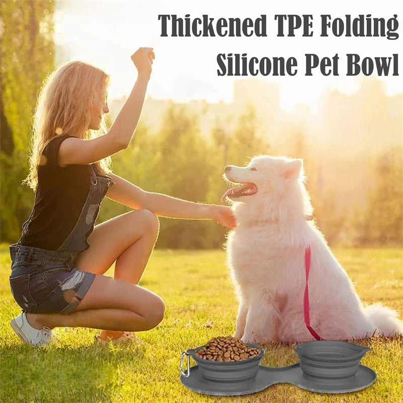 Convenient Rubber Foldable Double Bowl