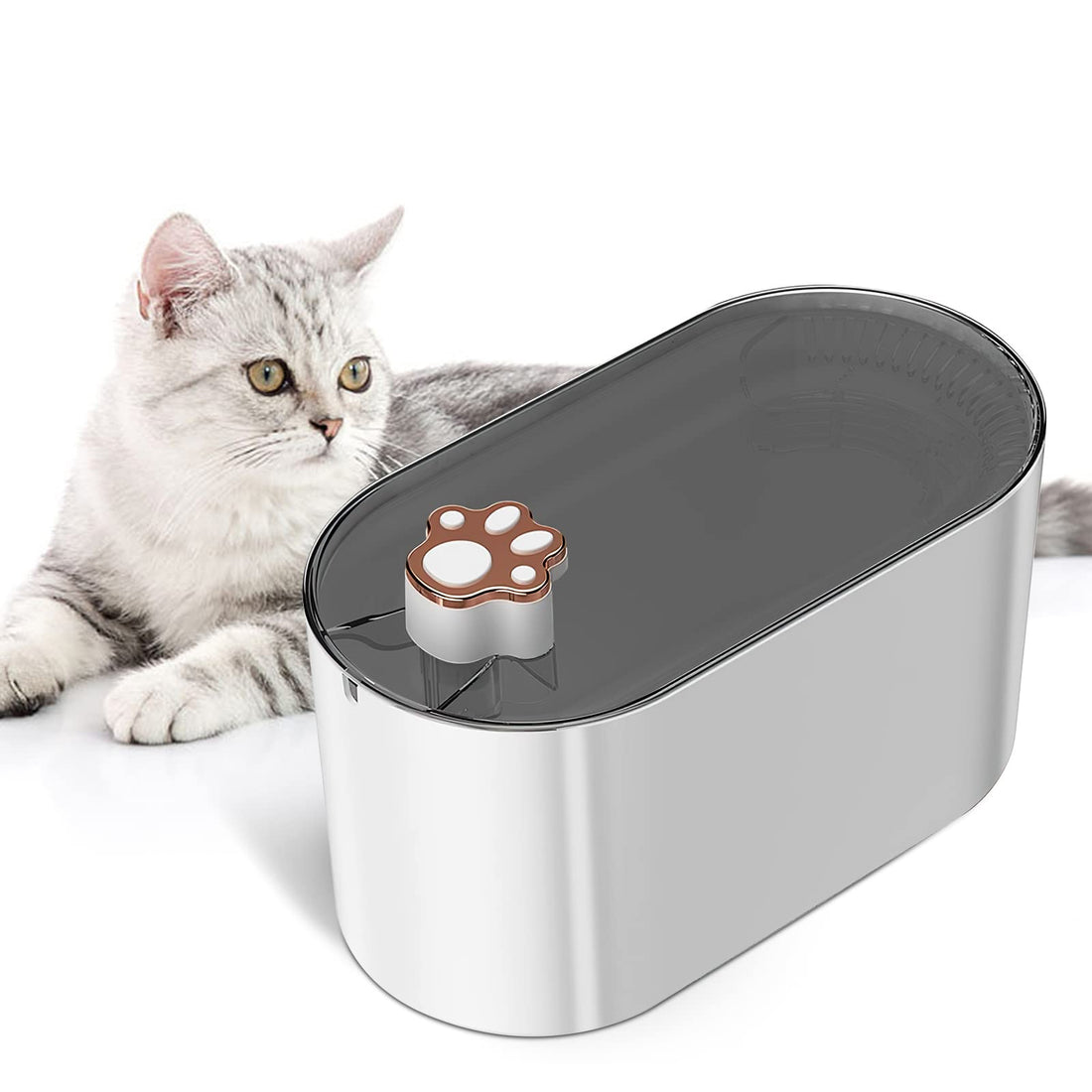 3L Cat Water Fountain Filter with Automatic Drinker