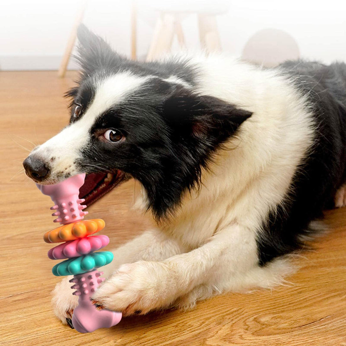 Bone-Shaped Indestructible TPR Dog Chew Toy