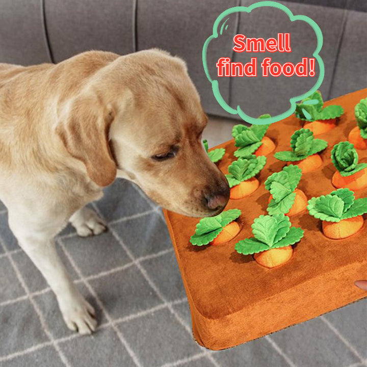 Pet Dog Carrot Plush Toy