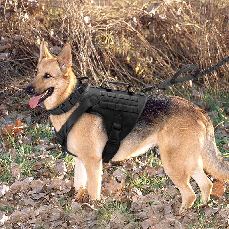 K9 Tactical Vest-Type Dog Collar for Optimal Control and Comfort
